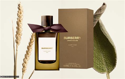 burberry chef|burberry signatures for men.